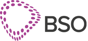 BSOnetwork logo